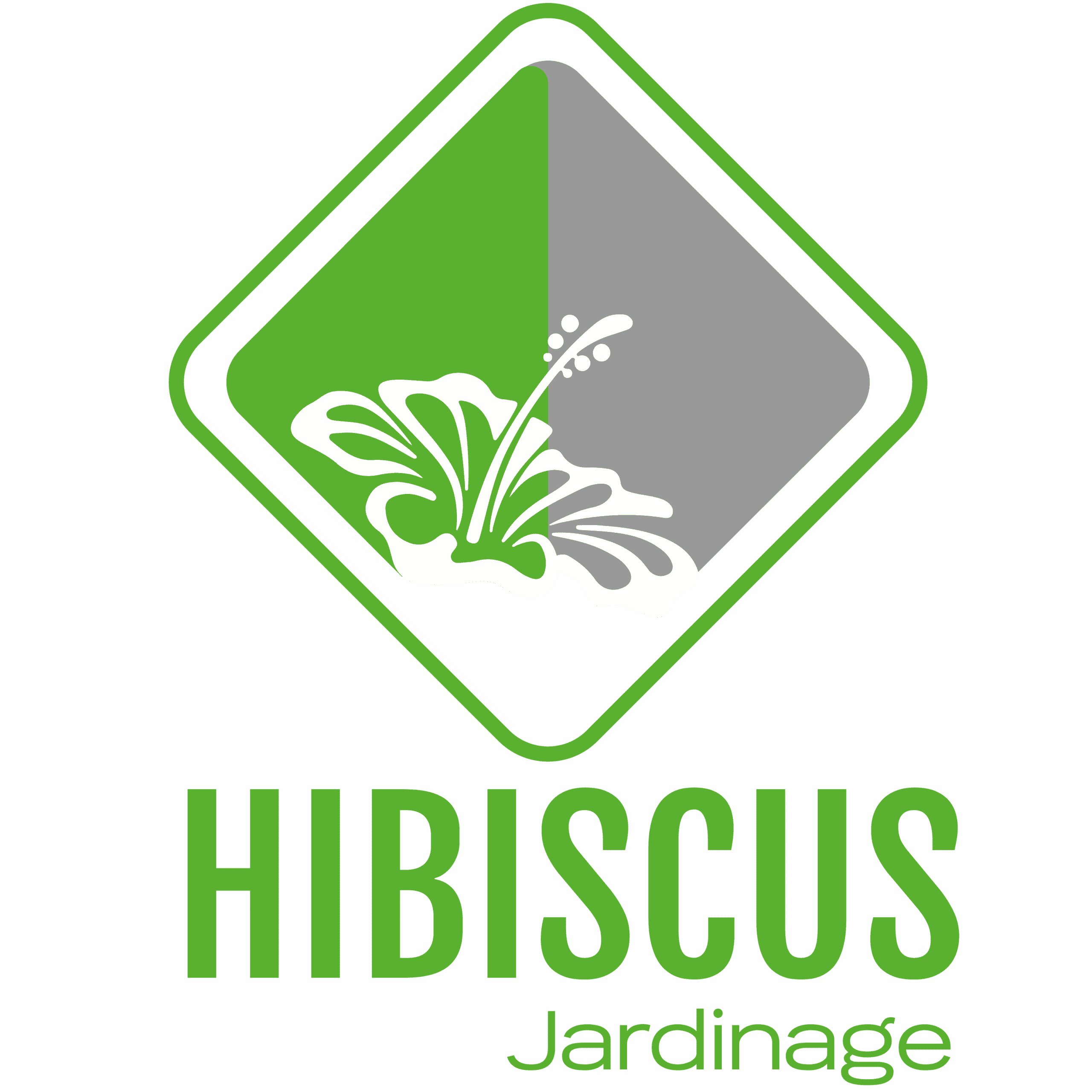 Hibiscus Jardinage
